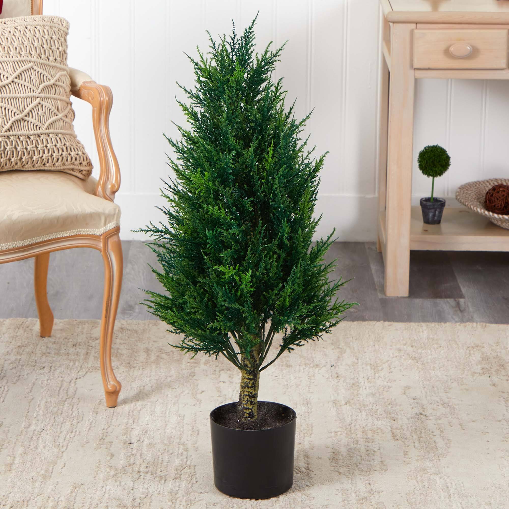 3ft. Potted Cypress Tower Tree